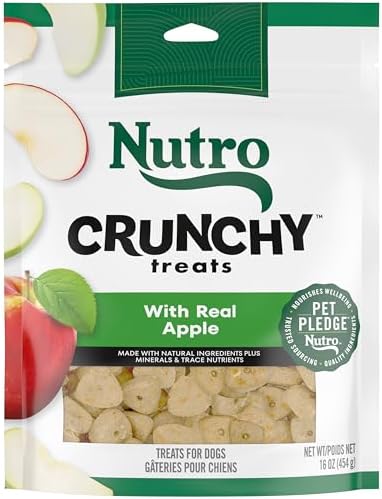 Nutro Crunchy Dog Treats with Real Apple, 16 oz. Bag