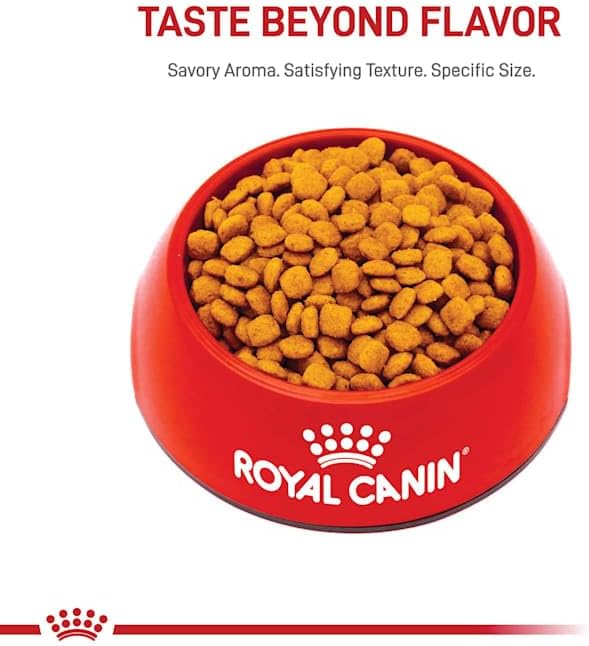 Royal Canin Feline Care Nutrition Urinary Care Adult Dry Cat Food, 6 lb bag