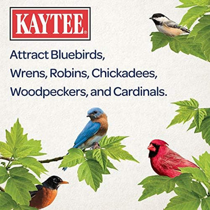 Kaytee Wild Bird Food Mealworms For Bluebirds, Wrens, Robins, Chickadees, Woodpeckers, Cardinals & Chickens, 2 Pound