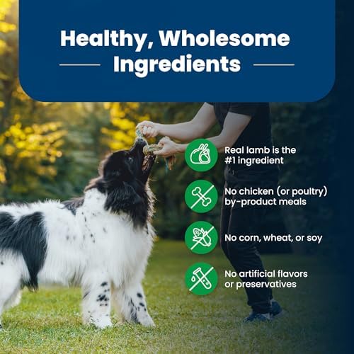 Blue Buffalo Life Protection Formula Adult Dry Dog Food, Helps Build and Maintain Strong Muscles, Made with Natural Ingredients, Lamb & Brown Rice Recipe, 30-lb. Bag