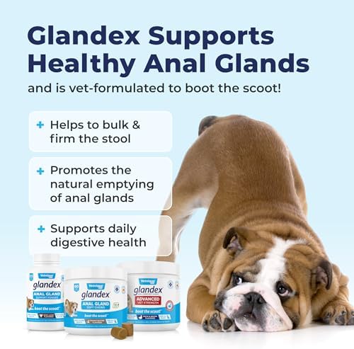 Vetnique Glandex Anal Gland Soft Chew Treats with Pumpkin for Dogs Digestive Enzymes, Probiotics Fiber Supplement for Dogs Boot The Scoot (Peanut Butter Chews, 60 Count)