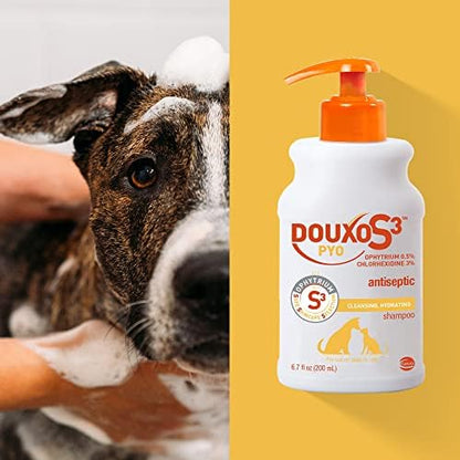 Douxo S3 Pyo Shampoo, Contains 3% Chlorhexidine & 0.5% Ophytrium, Antiseptic & Hydrating, For Bacterial or Yeast Skin Infections, For Dogs and Cats, 6.7 fl. oz. (200mL)