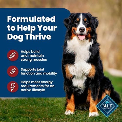 Blue Buffalo Life Protection Formula Adult Dry Dog Food, Helps Build and Maintain Strong Muscles, Made with Natural Ingredients, Beef & Brown Rice Recipe, 30-lb Bag