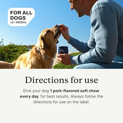 PetLab Co. Allergy & Immune Daily Probiotics for Dogs. Supports Yeast Production, Seasonal Allergies, Intermittent Itchiness, Gut & Digestive Health - 30 Chews for Small Dogs - Packaging May Vary