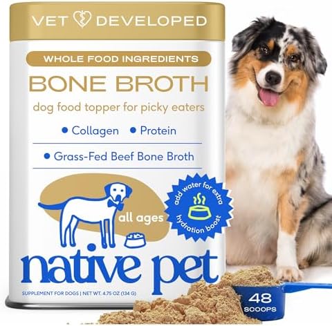 Native Pet Bone Broth for Dogs - Made with Real Beef Bone Broth, Dog Food Toppers for Picky Eaters - Provides Extra Hydration & Nutrition for Joint Strength, Immunity & Heart Health-48 Scoops