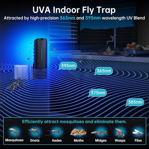 Flying Insect Trap Plug in Mosquito Bug Zapper Indoor Gnat Moth Catcher with 9W Night UV Light, 10 Sticky Glue Board Refills for Home Office
