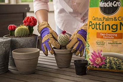 Miracle-Gro Cactus, Palm and Citrus Potting Mix, for Indoor or Outdoor Potted Plants, Great for Succulents, 8 qt., 2-Pack