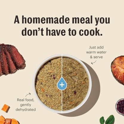 The Honest Kitchen Human Grade Dehydrated Whole Grain Dog Food – Complete Meal or Topper – Chicken 10 lb (makes 40 lbs)