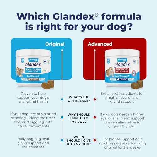 Vetnique Glandex Anal Gland Soft Chew Treats with Pumpkin for Dogs Digestive Enzymes, Probiotics Fiber Supplement for Dogs Boot The Scoot (Peanut Butter Chews, 60 Count)
