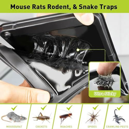 Glue Mouse Traps Indoor for Home, Rat Trap-12 Pack, Large Heavy Duty Glue Traps for Safe Home Pest Control. Pre-Scented, Non-Toxic Sticky Boards for Mice, Rats & More. Easy To Use