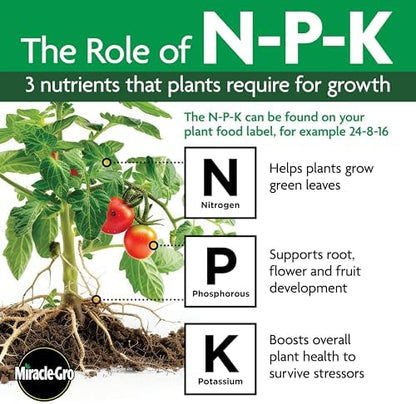 Miracle-Gro Water Soluble Bloom Booster Flower Food, Plant Food for Annual and Perennial Flowers, In-Ground and Container Plants, Roses, Hydrangeas, Hibiscus, 5.5 lb.