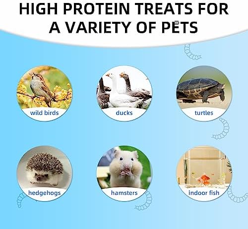 I LOVE WORMS Dried Black Soldier Fly Larvae (5lb), 100% Natural Non-GMO, Treat for Chickens, More Calcium Chicken Feed Than Mealworms