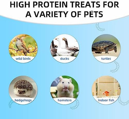 I LOVE WORMS Dried Black Soldier Fly Larvae (5lb), 100% Natural Non-GMO, Treat for Chickens, More Calcium Chicken Feed Than Mealworms