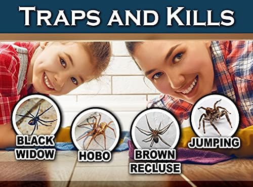 MaxGuard Spider + Insect Traps (12 pcs Box Trap) | Non-Toxic Extra Sticky Glue Traps, Kill Black Widow Hobo Brown Recluse Spiders and Other Crawling Bugs & Insects |