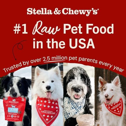Stella & Chewy's Freeze-Dried Raw Dinner Patties - Beef Recipe - High Protein Grain-Free Puppy & Dog Food - Perfect For Picky Eaters - 25 oz