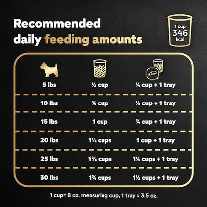 Cesar Small Breed Dry Dog Food Filet Mignon Flavor and Spring Vegetables Garnish, 12 lb. Bag