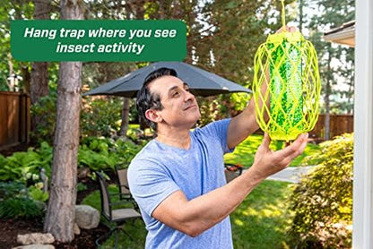 RESCUE! VisiLure® TrapStik for Wasps, Mud Daubers, Carpenter Bees – 2 Pack