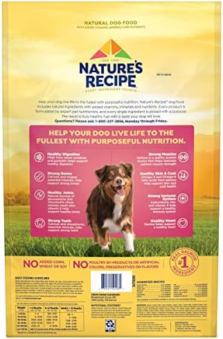 Nature's Recipe Grain Free Dry Dog Food, Salmon, Sweet Potato & Pumpkin Recipe, 12 lb. Bag