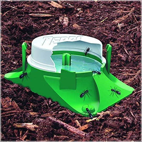 TERRO T1804SR Outdoor Ready-to-Use Liquid Ant Bait Killer and Trap - Kills Common Household Ants - 8 Bait Stations