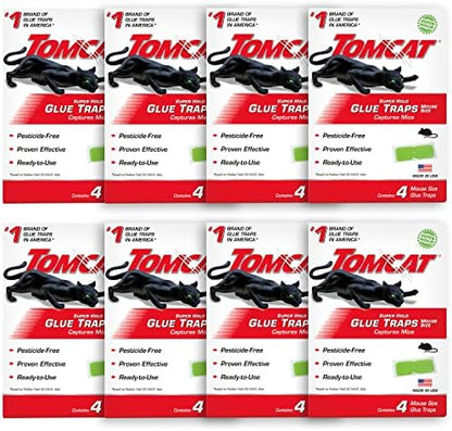 Tomcat Super Hold Glue Traps Mouse Size, 8-Pack (32 Glue Traps)