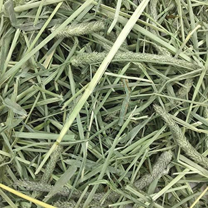 Oxbow Western Timothy Hay for Small Pets – All-Natural Grass Hay for Rabbits, Guinea Pigs, and Chinchillas – High Fiber for Digestive Health and Dental Support – 40 oz Bag