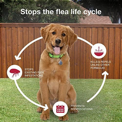 K9 Advantix II Medium Dog Vet-Recommended Flea, Tick & Mosquito Treatment & Prevention | Dogs 11-20 lbs. | 2-Mo Supply