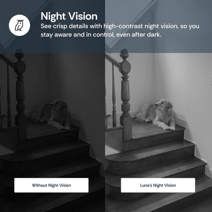 Luna Cameras for Home Security Indoor, Advanced AI Motion Detection, 360° Pan/Tilt, Plug-in, Night Vision, 2.4GHz Wi-Fi, 2-Way Audio, Nanny Pet Dog Camera with Phone App (Black)