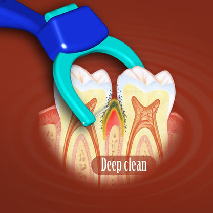 T.Smile Evolutionary Clean Dental Flossers, Kit of Refills Plus Mid-Length Handle (2 Handles + 200 Refills)