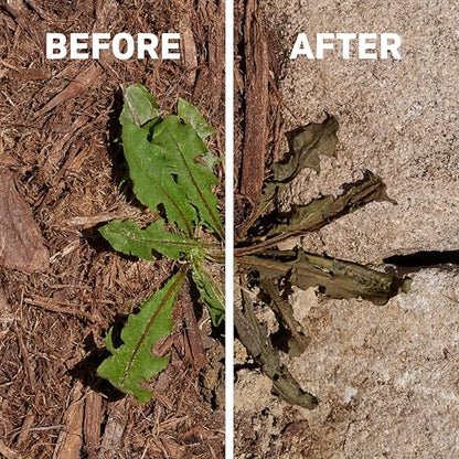 Spruce EZ-AIM Grass and Weed Killer Spray - Precision Shot for Cracks, Edges & Small Spaces - Starts Wilting in 1 Hour, Dead Weeds in 24 Hours (3 Pack, 10 Oz Each)