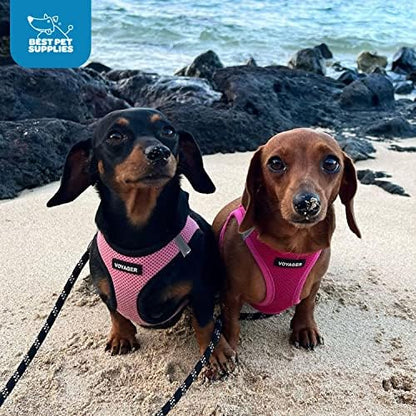Best Pet Supplies Voyager Step-in Air Dog Harness - All Weather Mesh, Reflective, No Pull Harness for Small, Medium Dogs, Cats - Secure with Hook & Loop Fastener, Buckle, Double D-Rings - Fuchsia, M