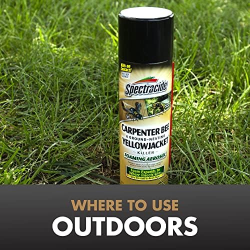 Spectracide Carpenter Bee And Ground-Nesting Yellowjacket Killer Foaming Aerosol 16 Ounce (Pack of 12), Expands To Where Insects Live
