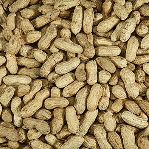 Kaytee Peanuts in Shell for Wild Birds, Two 5 Pound Bags
