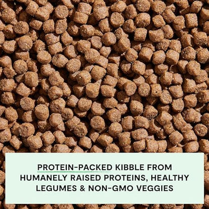 Open Farm, Grain-Free Dry Dog Food, Complete & Balanced Kibble, Sustainably & Ethically Sourced Ingredients, Non-GMO Veggies & Superfoods to Support Overall Health, Grass-Fed Beef Recipe, 22lb Bag