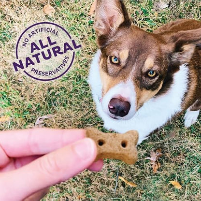 Old Mother Hubbard by Wellness Classic Original Mix Natural Dog Treats, Crunchy Oven-Baked Biscuits, Ideal for Training, Mini Size, 3.8 pound bag