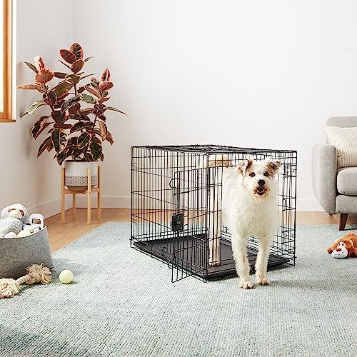Amazon Basics Durable, Foldable Metal Wire Dog Crate with Tray, Double Door, 36 x 23 x 25 in, Black