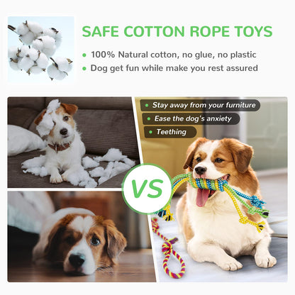 LEGEND SANDY Puppy Toys, Squeaky Dog Toys for Small Dogs, 12 Pack Puppy Chew Toys for Teething, Dog Rope Toy and Cute Stuffed Animals Value Bundle