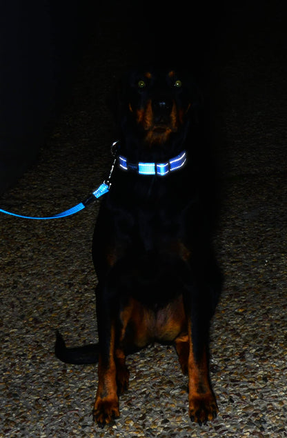 Reflective Dog Leash for Large Dogs, 3/4" wide, 6' long, Black