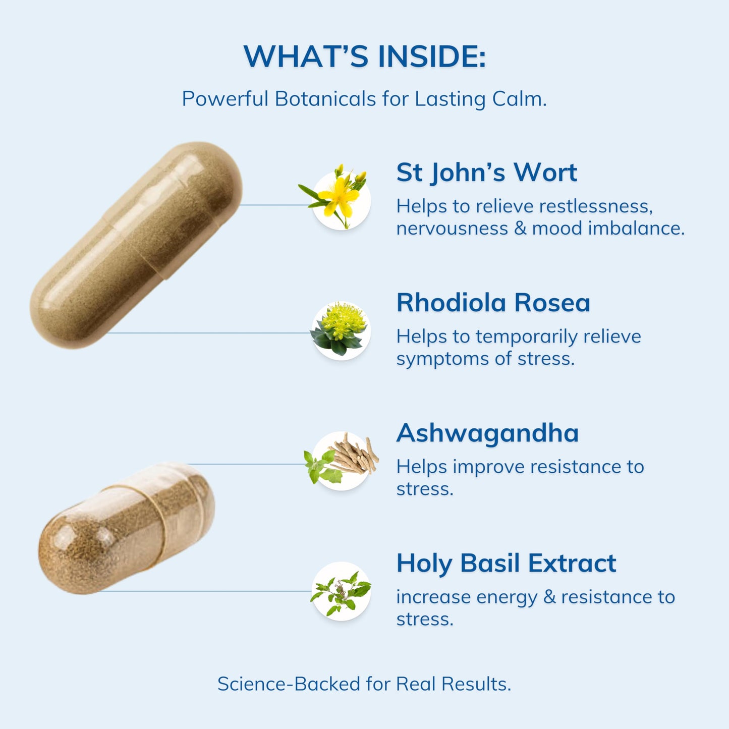 Rhodiola Rosea, St John’s Wort, Ashwagandha - Stress & Anxiety Relief Supplement With Holy Basil, Mood Support, Stress Relief Supplement, 3rd Party Tested, Made In Canada, 60 Capsules