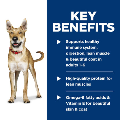 Hill's Science Diet Adult 1-6, Adult 1-6 Premium Nutrition, Wet Dog Food, Chicken & Barley Loaf, 13 oz Can, Case of 12