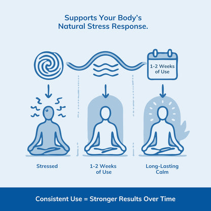 Rhodiola Rosea, St John’s Wort, Ashwagandha - Stress & Anxiety Relief Supplement With Holy Basil, Mood Support, Stress Relief Supplement, 3rd Party Tested, Made In Canada, 60 Capsules