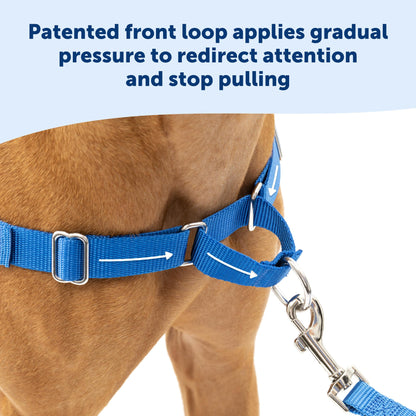 PetSafe Easy Walk No-Pull Dog Harness - The Ultimate Harness to Help Stop Pulling - Take Control & Teach Better Leash Manners - Helps Prevent Pets Pulling on Walks, Medium/Large, Black/Silver