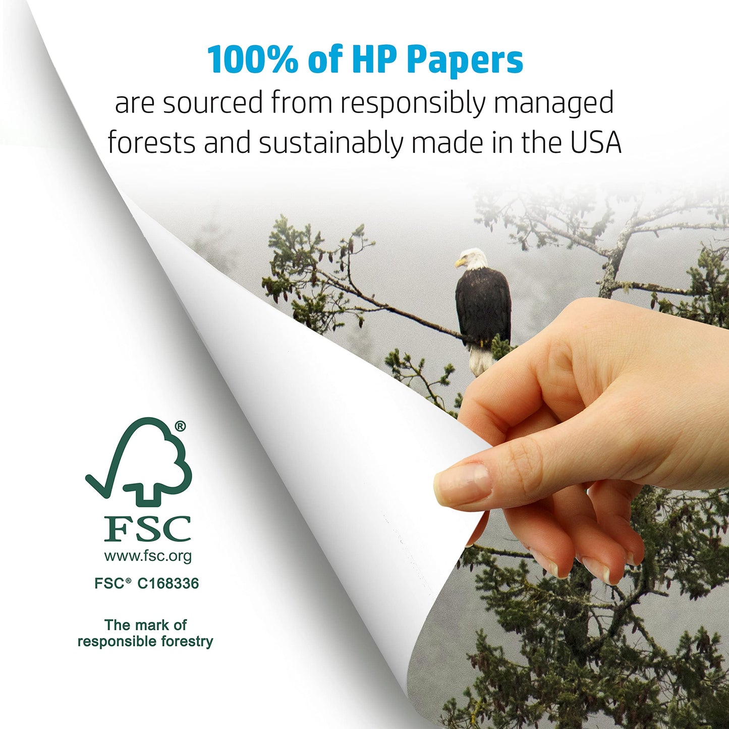 HP Paper Printer Paper 8.5x11 Office 20 lb 5 Ream Case 2500 Sheets 92 Bright Made in USA FSC Certified Copy Paper HP Compatible 112150C