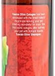 Bio-Groom Tuscan Olive Dog Cologne – Deodorizing Spray, Dog Bathing Supplies, Puppy Wash, Cat & Dog Grooming Supplies, Cruelty-Free, Made in USA, Dog Perfume – 8 fl oz 1-Pack - Image 3