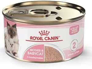 Royal Canin Feline Health Nutrition Mother & Babycat Ultra Soft Mousse in Sauce Canned Cat Food, 3 oz can (24-count)