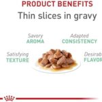 Royal Canin Feline Digestive Care Thin Slices in Gravy Wet Cat Food, 3 oz can (24-count) - Image 5