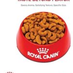 Royal Canin Breed Health Nutrition French Bulldog Adult: Dry Dog Food, 17 lb bag - Image 10
