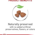 Royal Canin Size Health Nutrition X-Small Puppy Dry Dog Food, 14 lb bag - Image 2