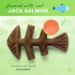 Benebone Fishbone Durable Dog Chew Toy for Aggressive Chewers, Real Fish, Made in USA, Giant - Image 2