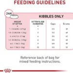 Royal Canin Feline Health Nutrition Kitten Dry, 7 lb bag - Image 6