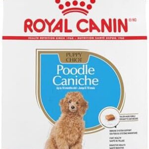 Royal Canin Poodle Puppy Breed Specific Dry Dog Food, 2.5 lb